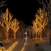 Гирлянда | Спайдер 5х20м | ЖЁЛТЫЙ | Статичная | Чёрный провод IP54 24V | - RICH LED