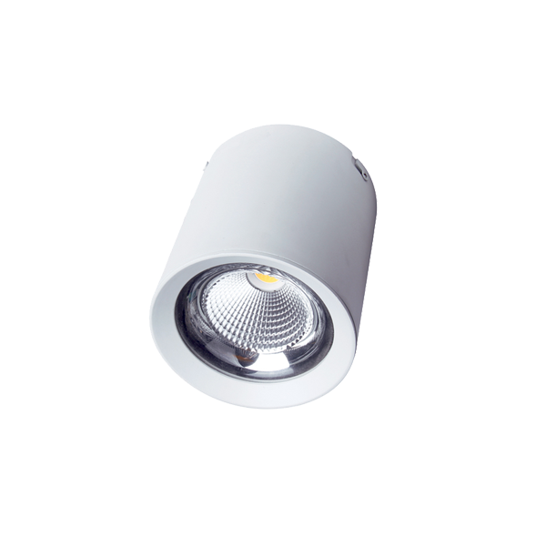 FL-LED 30W/3000K White CUPSPOT Round 3000Lm 170*185мм - подвесной и накладной светодиодный светильник круглый FOTON LIGHTING